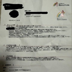 ハワイアンズチケット×1枚
