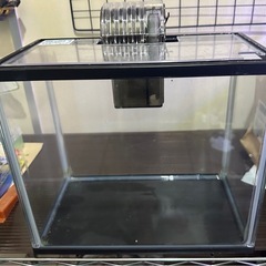 水槽セット