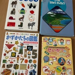 ⭐︎絵本図鑑をまとめました！４点セット