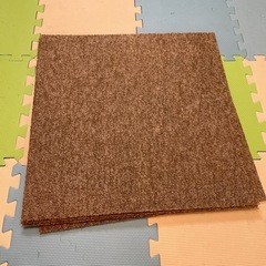 カーペット　30枚