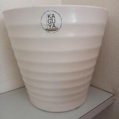 ② 竹から生まれた植木鉢　美品