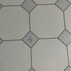 撥水ダイニングラグの画像