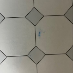 撥水ダイニングラグの画像