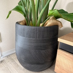 鉢 観葉植物鉢カバー 14号 