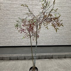 フェイクグリーン　人工観葉植物(本物の植物ではありません)　