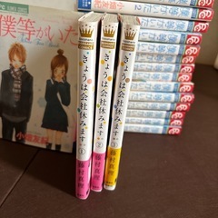 漫画コミック　僕らがいた　他の画像