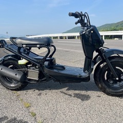 全塗装美車　低走行ズーマー　タイヤ前後新品