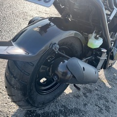 全塗装美車　低走行ズーマー　タイヤ前後新品の画像