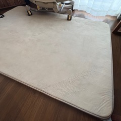 ニトリのカーペット＆カーペット下に引くマット