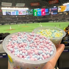 5月15日本日☆福岡ソフトバンクホークスVS西武ライオンズ☆観戦引き換えチケット2枚の画像