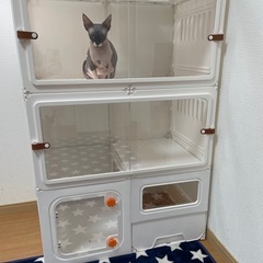 キャットゲージ　猫ゲージ
