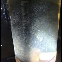 ゾウリムシ🦠　メダカ針子のエサに 　500ml