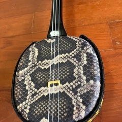 ケース付き三味線の画像