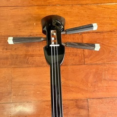 ケース付き三味線の画像