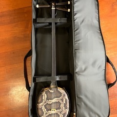 ケース付き三味線の画像