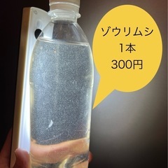 【ゆうメダカ】ゾウリムシ 500ml 300円