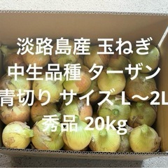 淡路島産 青切り 玉ねぎ 中生品種 ターザン L～2L 秀品 2...