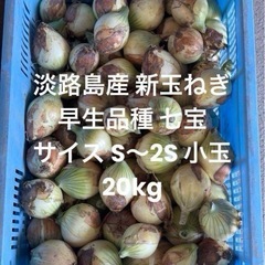 在庫処分 1箱分 淡路島産 新玉ねぎ S～2S規格外 20kg ...