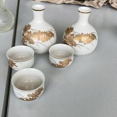 0515-001 九谷焼晩酌セット
