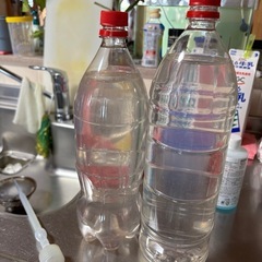 メダカ　ゾウリムシ