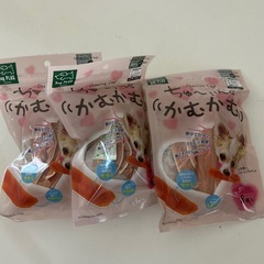 ちゅ〜いんぐ　かむかむ