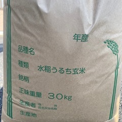 令和6年栃木県産 コシヒカリ 30kg