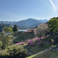 最近仕事暇で