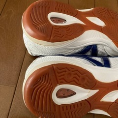 宮内中室内履きの画像