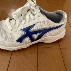 宮内中室内履きの画像