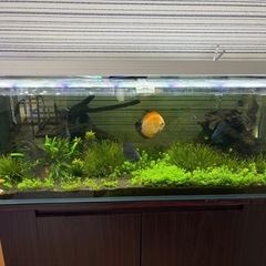 水槽セット 120cmの画像