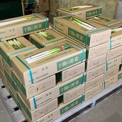 長ネギ選別　短期アルバイト大募集！！の画像