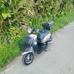 Today50☆中古☆HONDA原付AF67