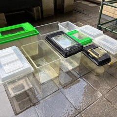 【0円】生き物飼育ケースの画像