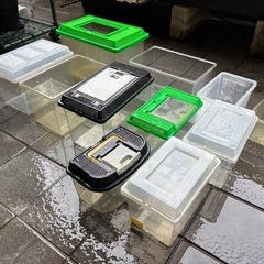 【0円】生き物飼育ケースの画像