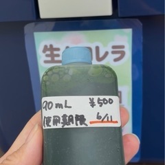 新鮮⭐︎生クロレラ　入荷しました！　ミジンコ・めだかなど針子のエサ　グリーンウォーター作りにおすすめ　うるま市　ゆめめだか　無人販売の画像