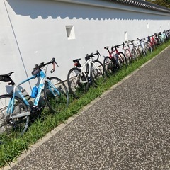 札幌ペダル！新規メンバー募集！
