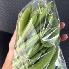 朝どれ！無農薬栽培大入りスナップエンドウ370g(キズあり)