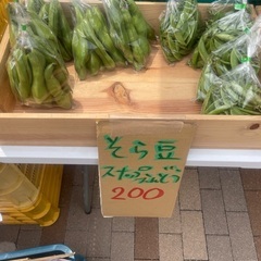トマト　レモン　そら豆　スナップエンド　河内晩柑の画像
