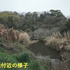 №H503【愛媛県松山市下伊台町】山林7筆あげます！