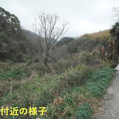 №H503【愛媛県松山市下伊台町】山林7筆あげます！ - 土地販売/土地売買