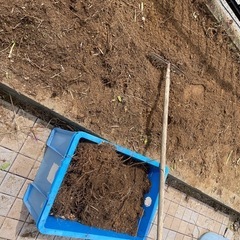 ドバミミズがたくさん育つ豊富な土など