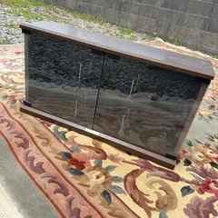 TOSHIBA EMIガラスショーケース🌿