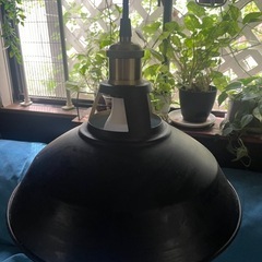 証明器具