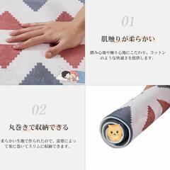 玄関マット 足拭きマット 幅73X奥行43cm 屋外 室内 滑り止め 泥落とし 洗える 軽量 防音 吸水 丸洗い お手入れ簡単 エントランスマット お風呂マット ドアマット 業務用 家庭用 オフィス お店の画像