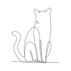野良猫の子猫
