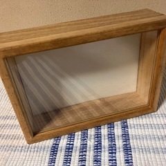 標本箱の画像