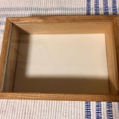標本箱
