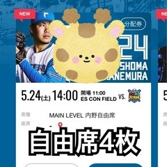 にじホロ交流戦 5月24日　自由席4枚セット　エスコンフィールド