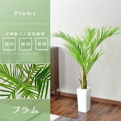 Hフェイクグリーン【プラム／グリーン色】観葉植物 光触媒 フェイ...
