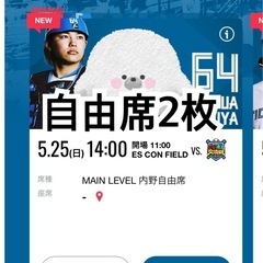 エスコン　にじホロ交流戦　5月25日　日曜日　ペアチケット